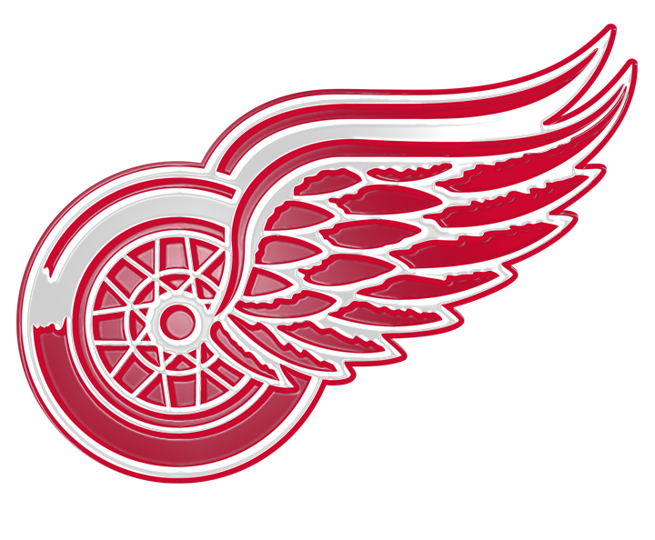 Detroit Red Wings Plastic Effect Logo iron on paper